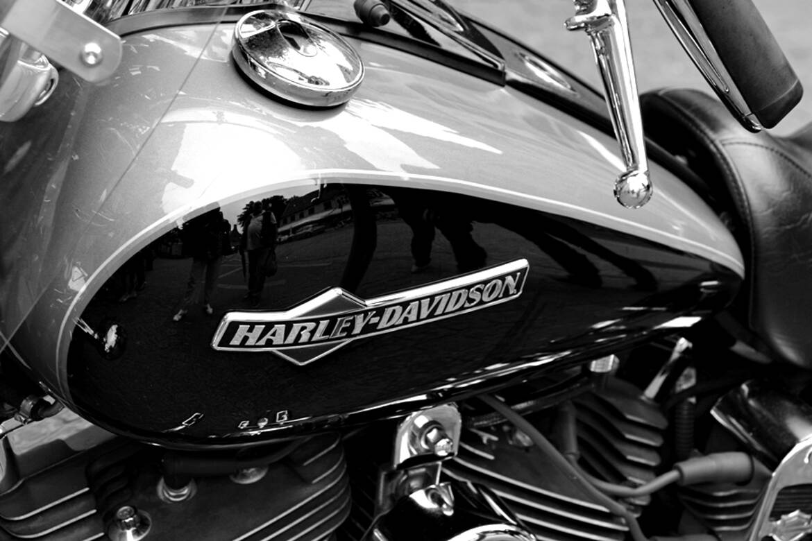 Clin d'œil à Thierry 3