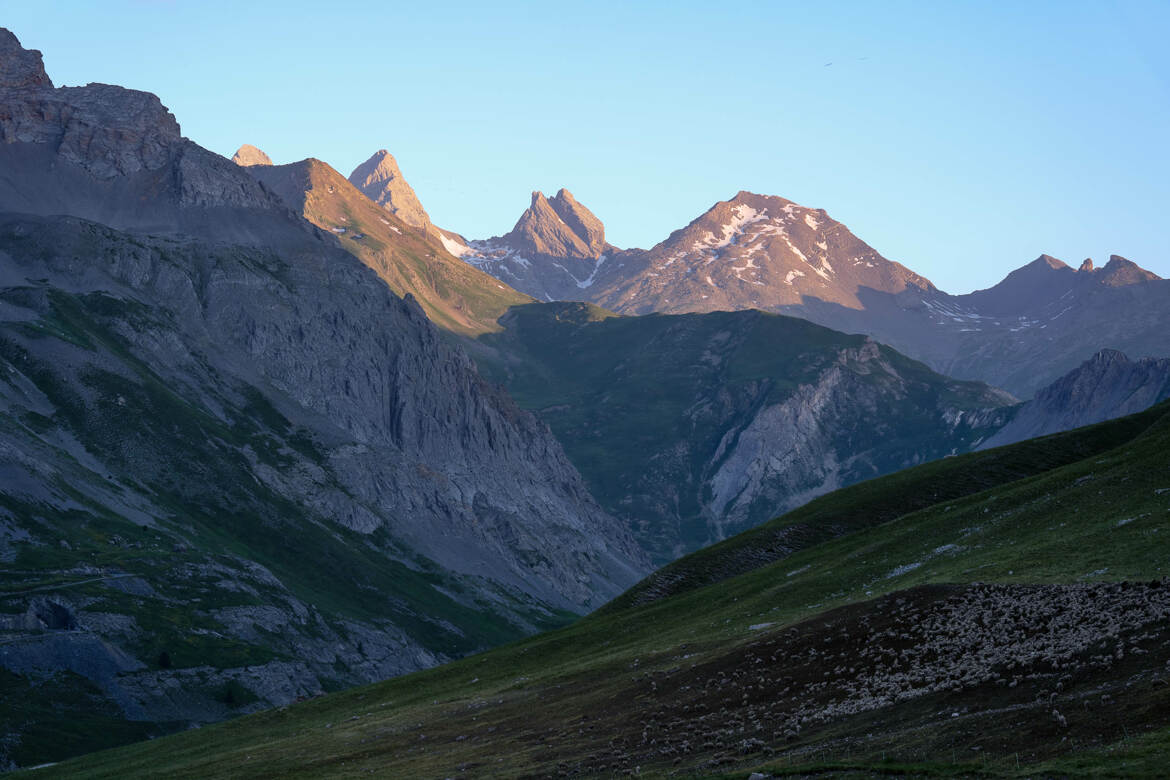 Des moutons à la montagne