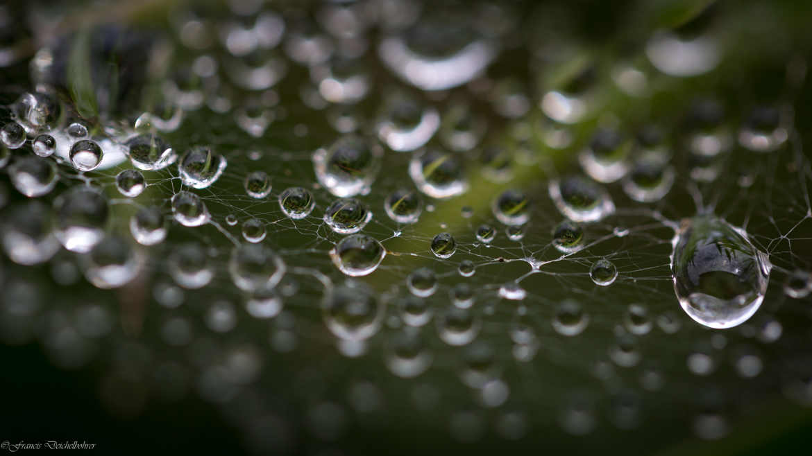 Gouttes d'eau en suspension