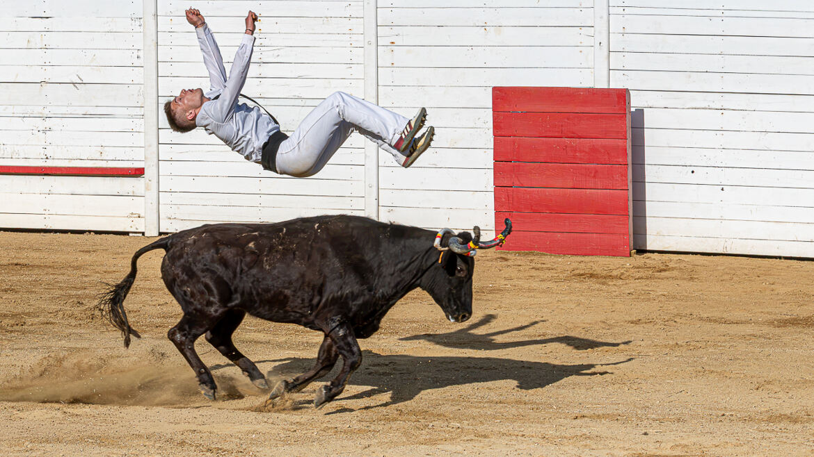 le saut périlleux arrière