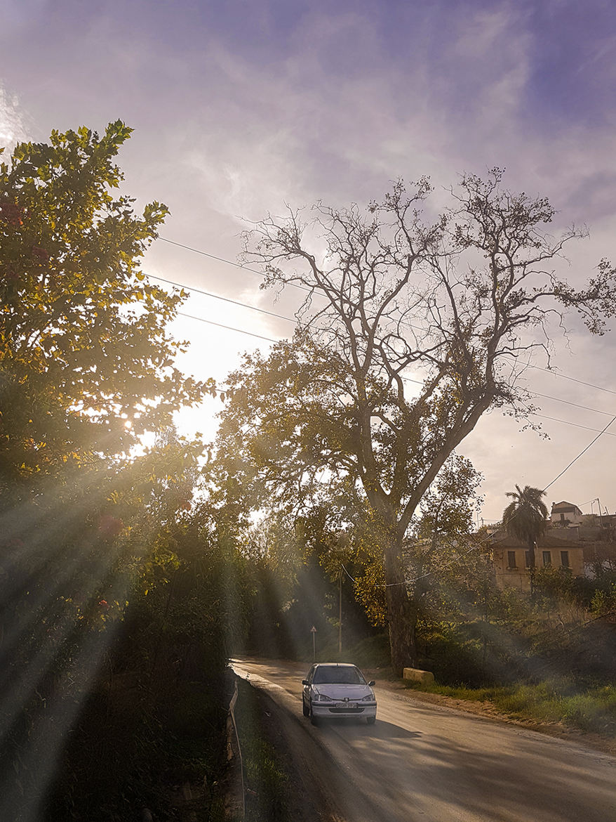 Le contre jour