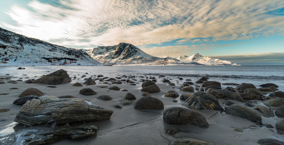 arctique sea