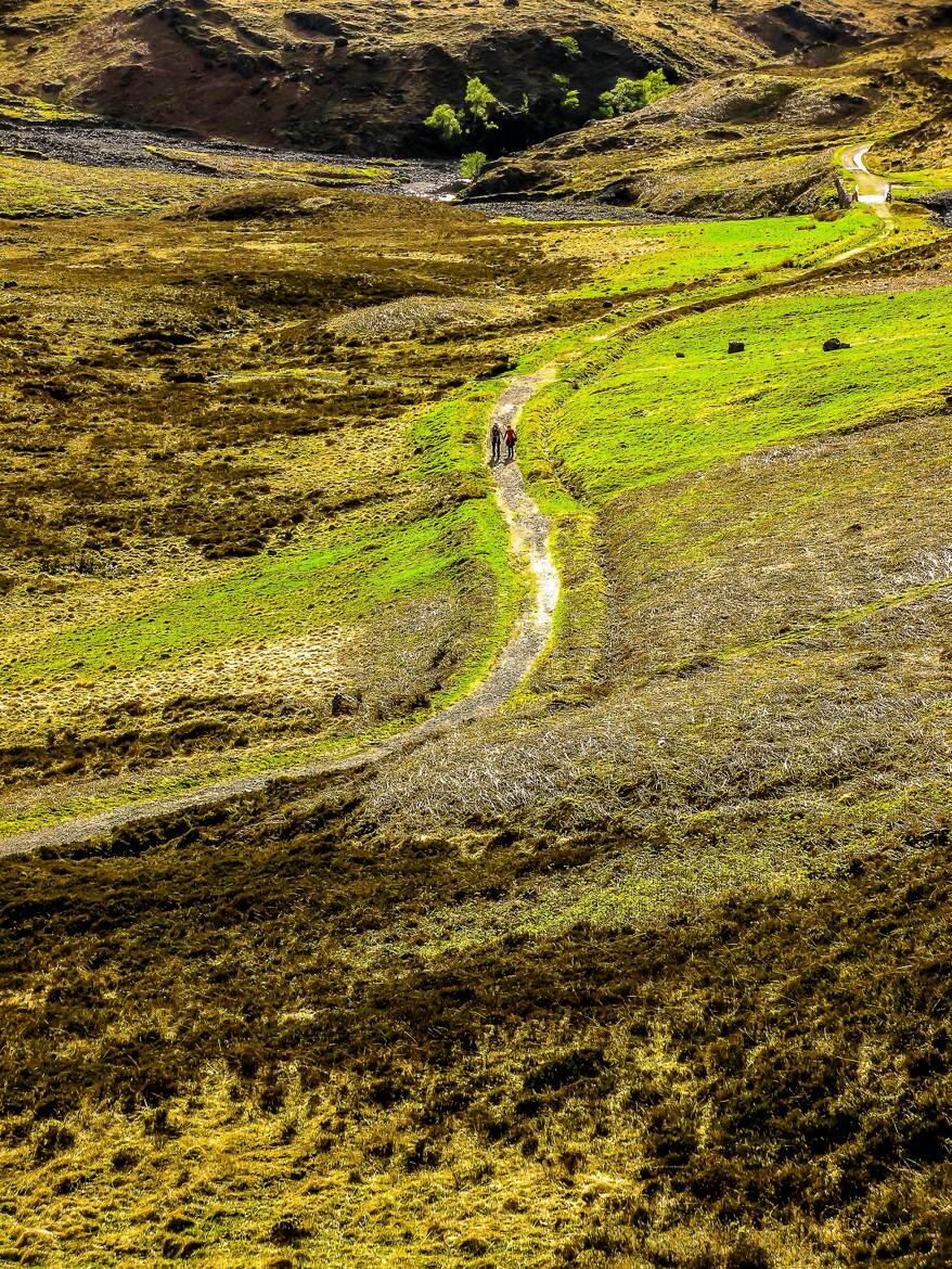 Ballade dans les tourbières