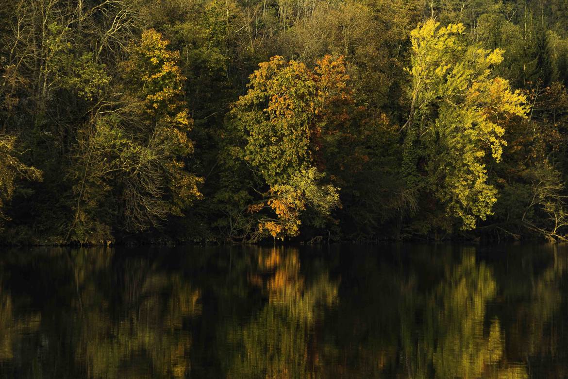 couleurs et reflets d automne 2