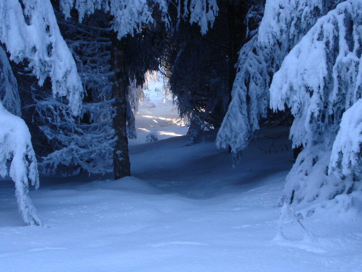 Faire sa trace sous le tunnel, c'est tentant!