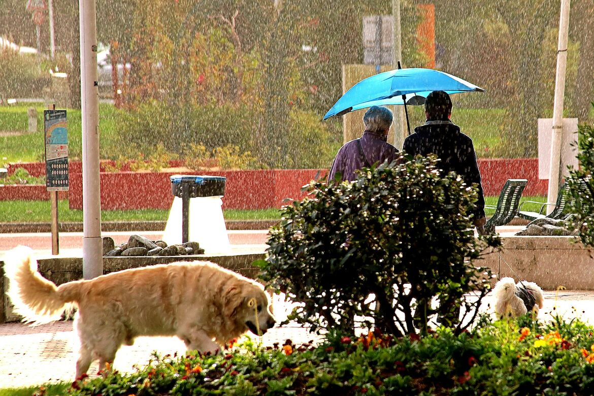 Parapluie