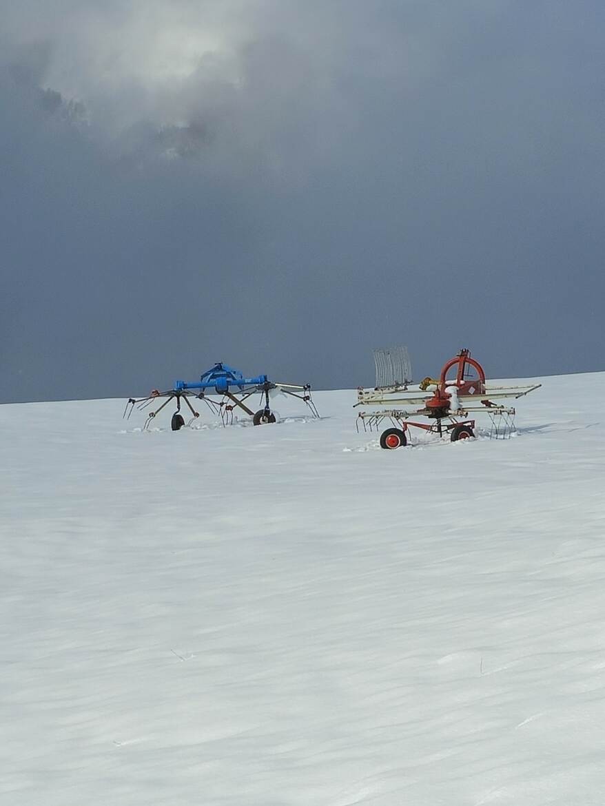 Faneuses en hivernage