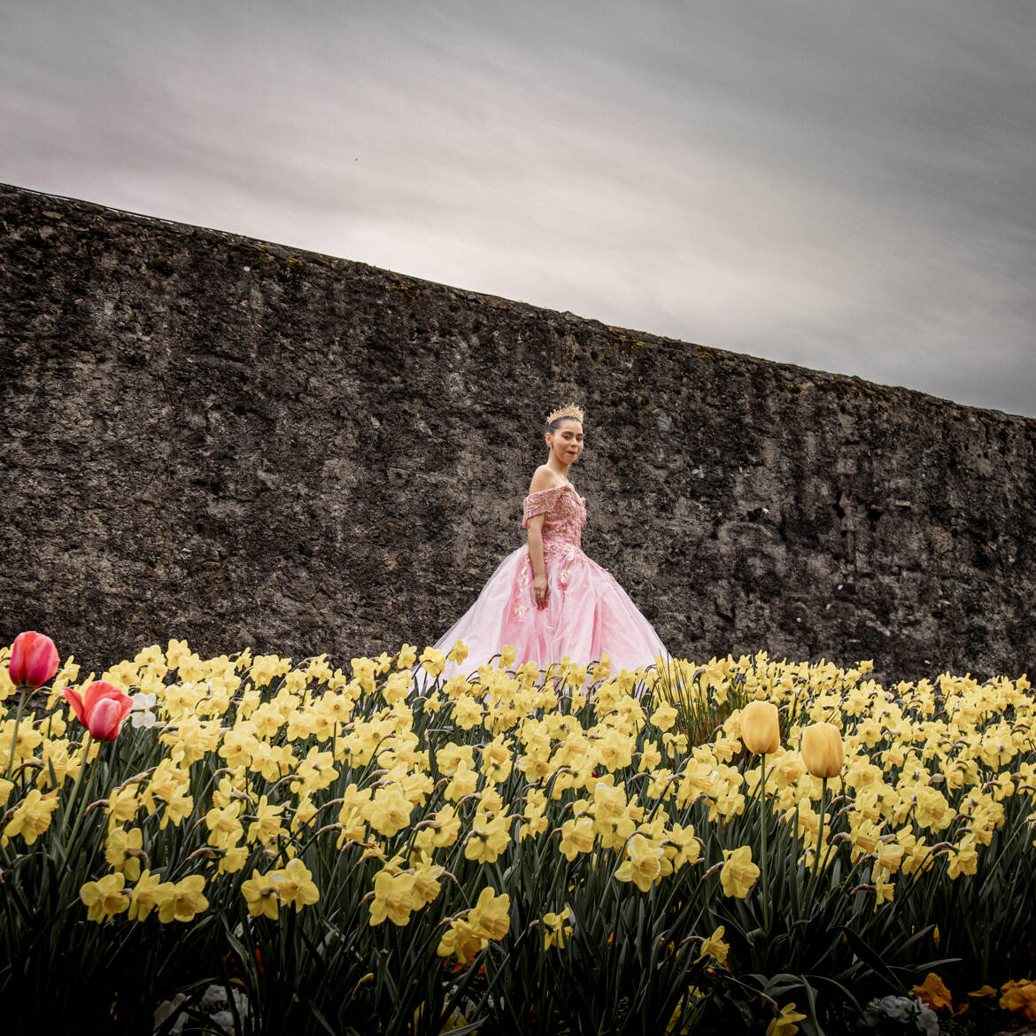 La princesse jonquille