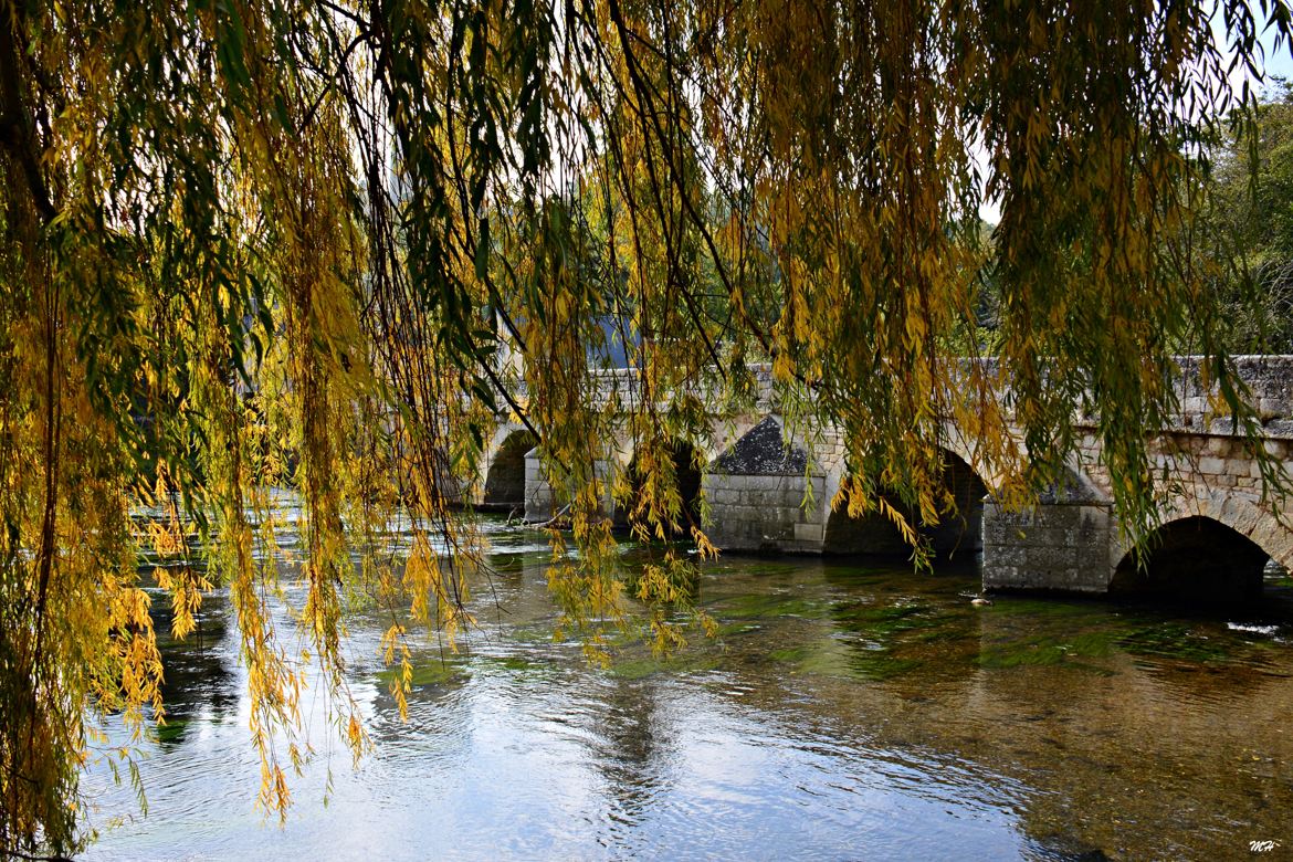 Pont Gothique sur le Loir