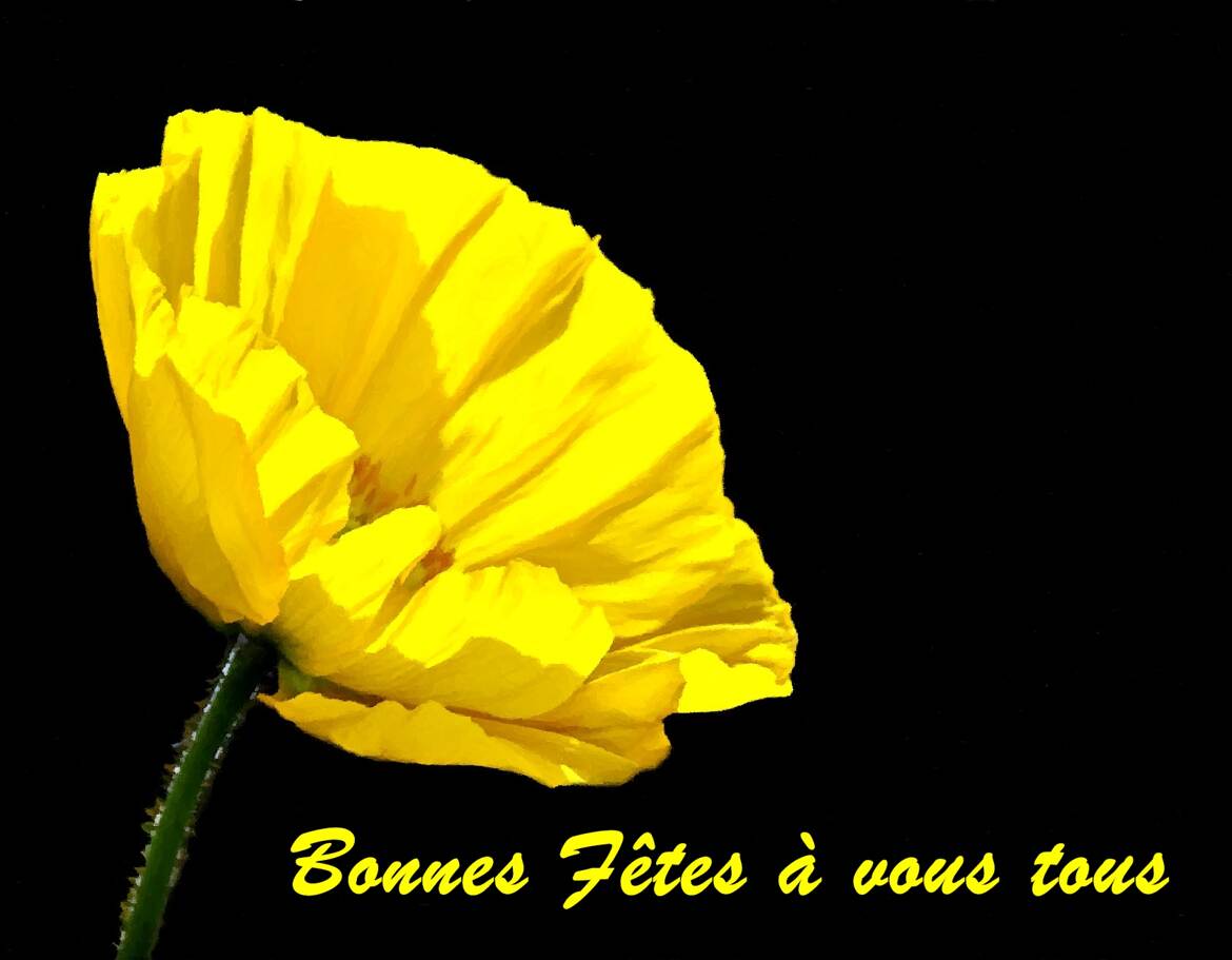 Bonnes Fêtes