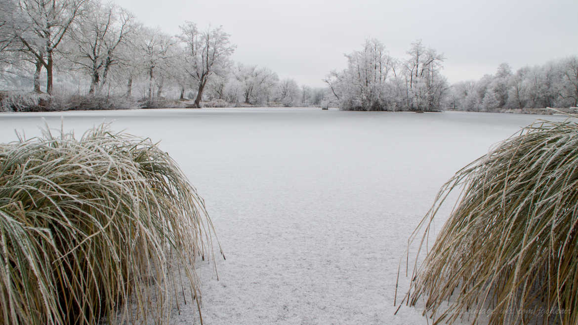 Paysage hivernal