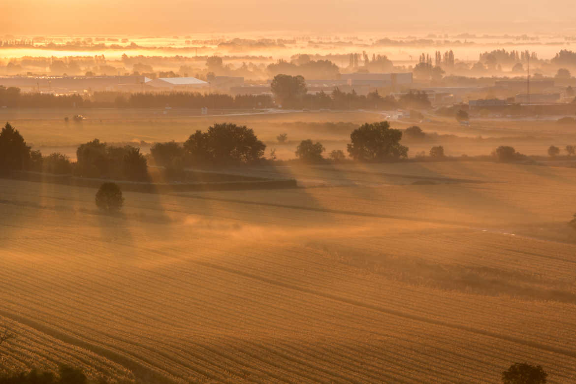 Brumes du matin