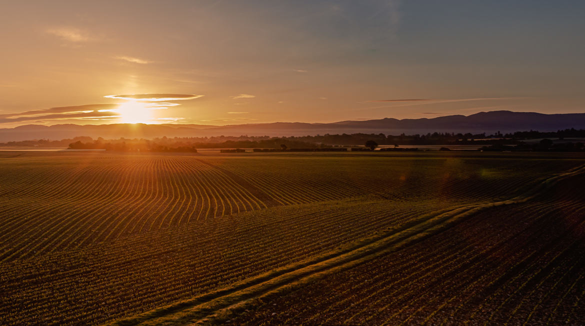 Lever de soleil sur la plaine