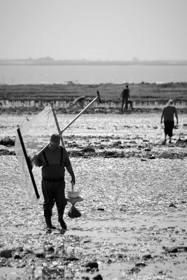 pêche à pied