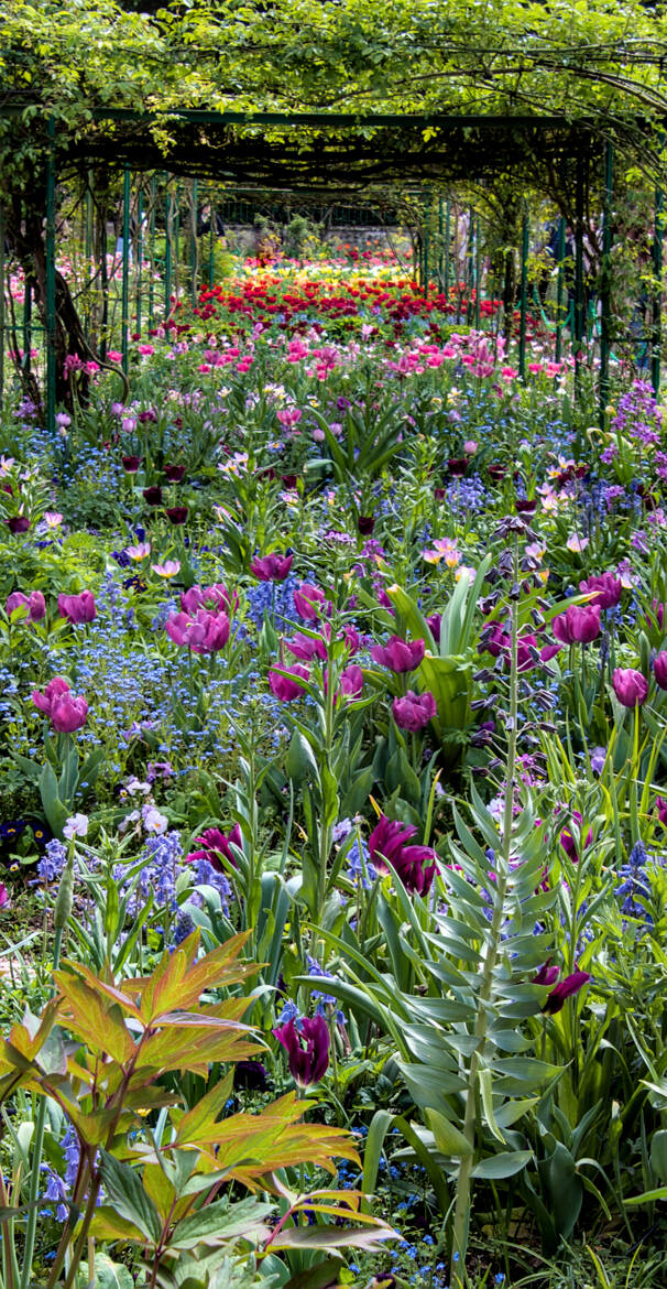 Une impression de Giverny (4)