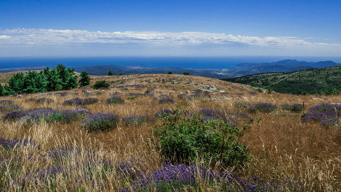 Panorama sur Caussols