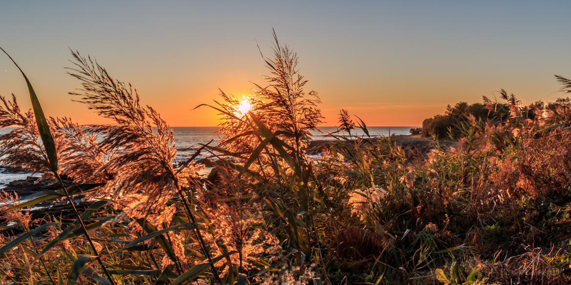 Soleil d'Automne