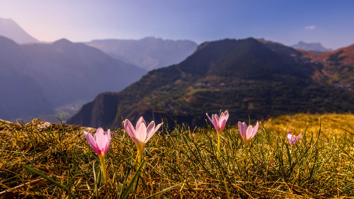 fotoduelo Août 2025 - Nature et Paysage