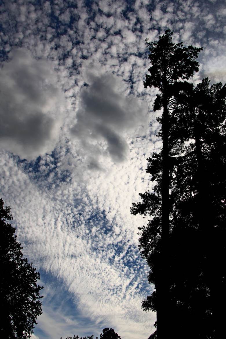 objectif nuages