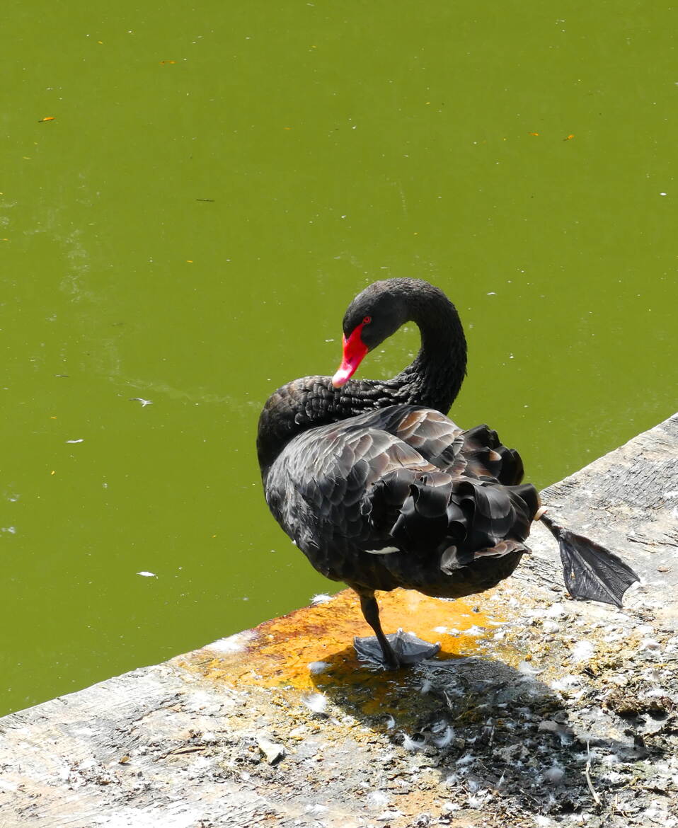 Séance d'étirement au bord de l'eau