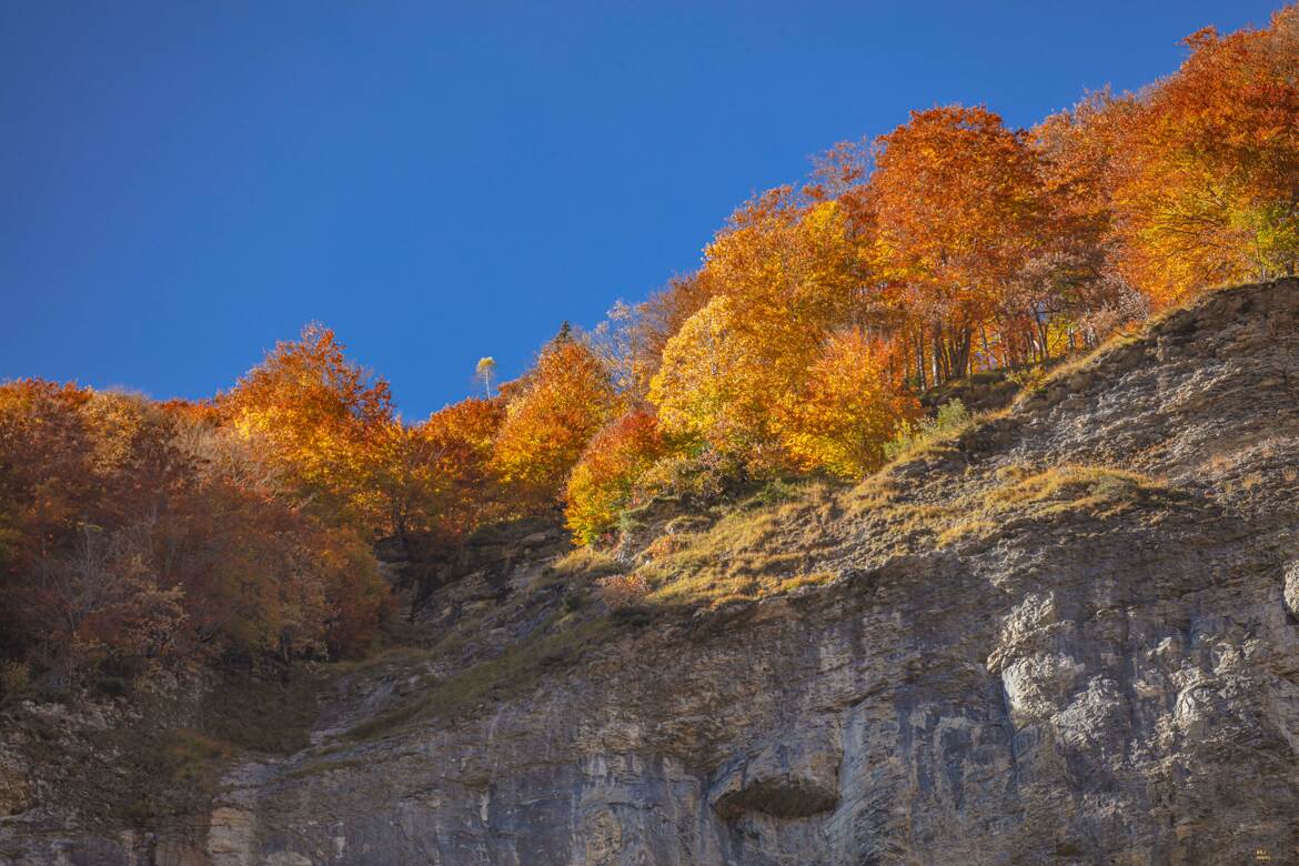 Couleurs d Automne