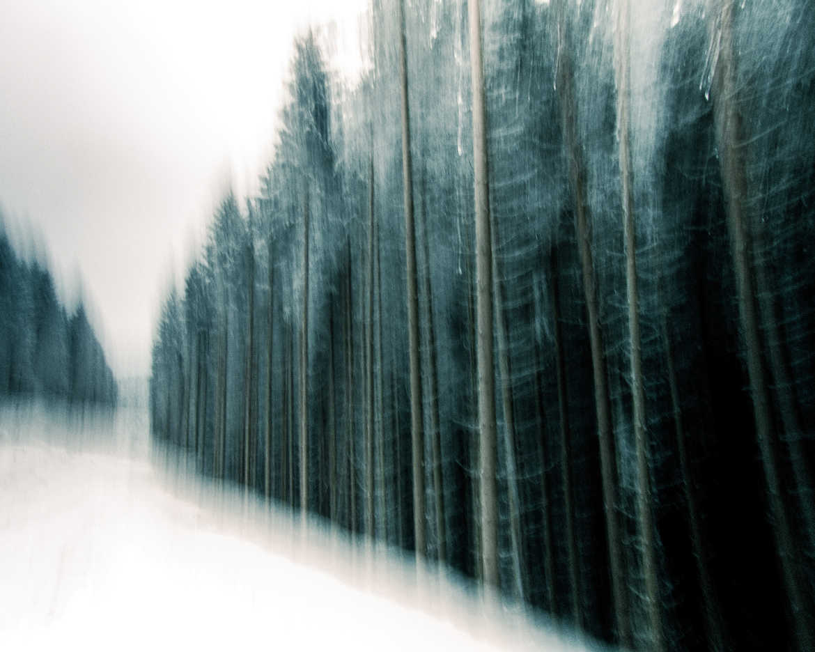 Un chemin forestier neigeux