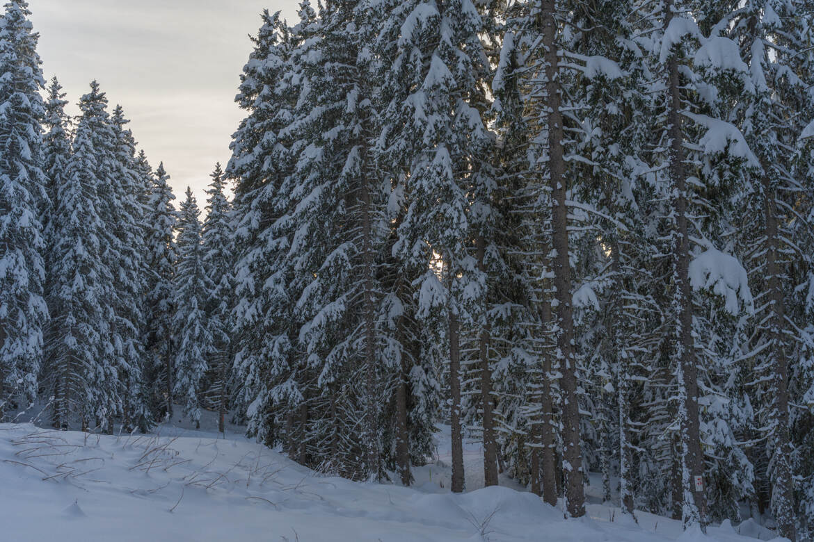 Attention à ne pas se perdre !