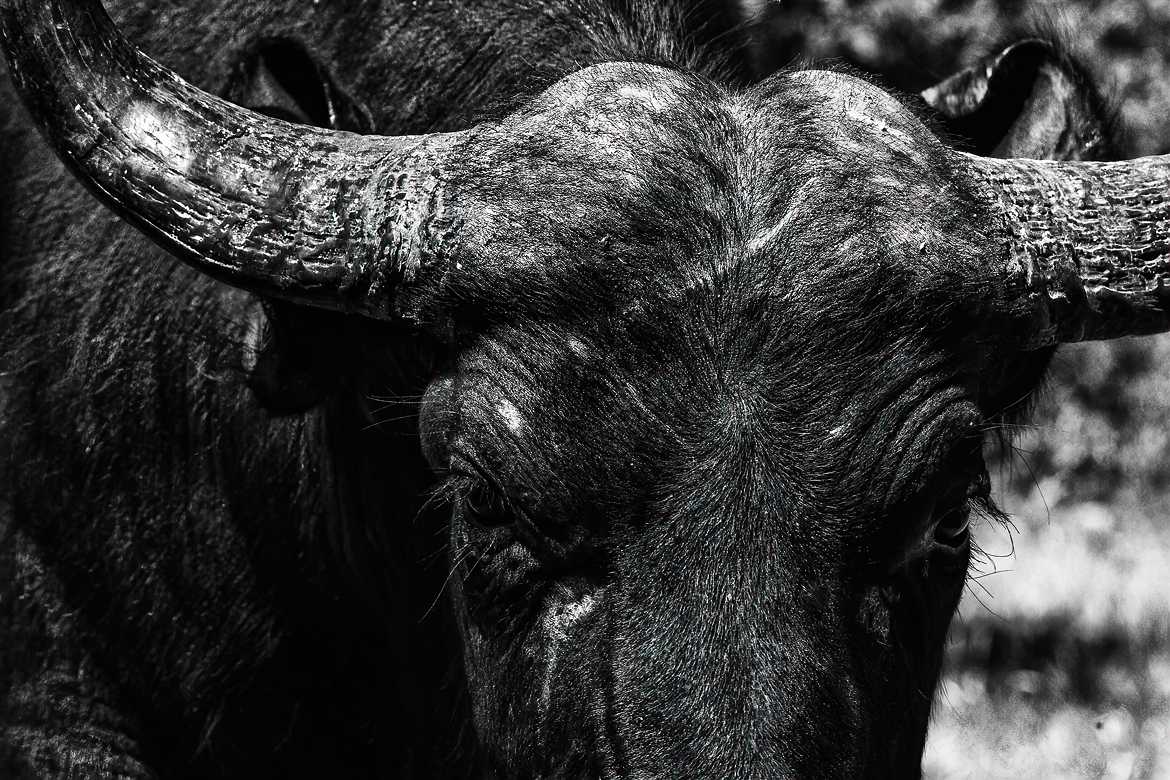 A la manière de Laurent Baheux