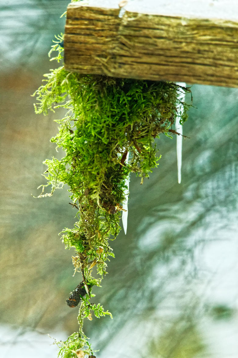 Stalactite