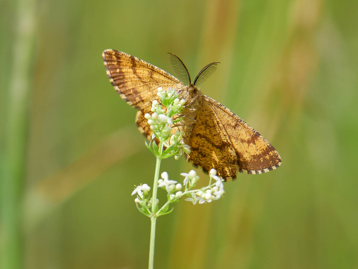 De nuit en plein jour