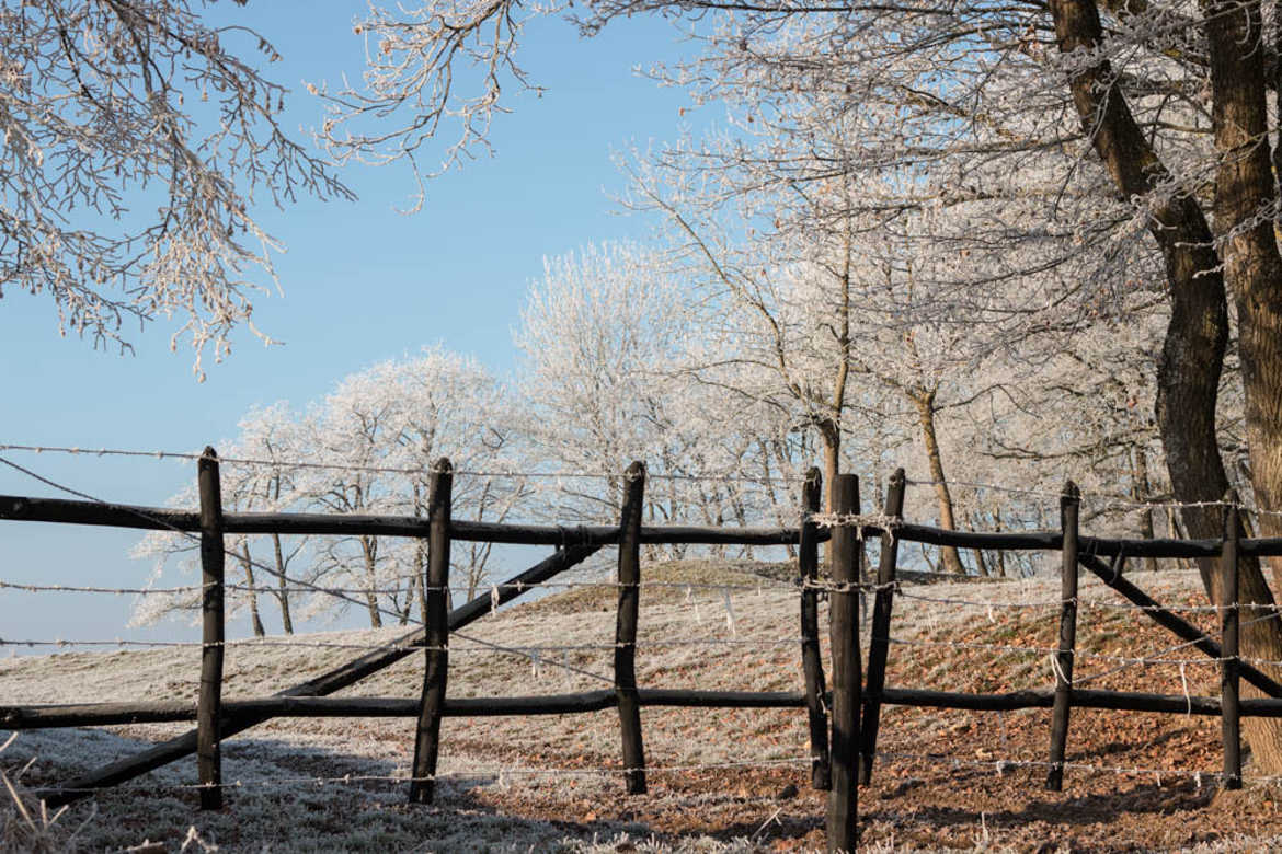 givre