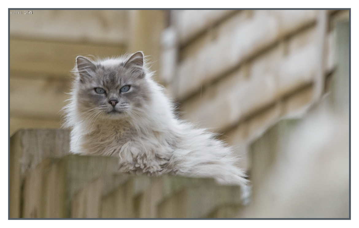 une pause bien méritée