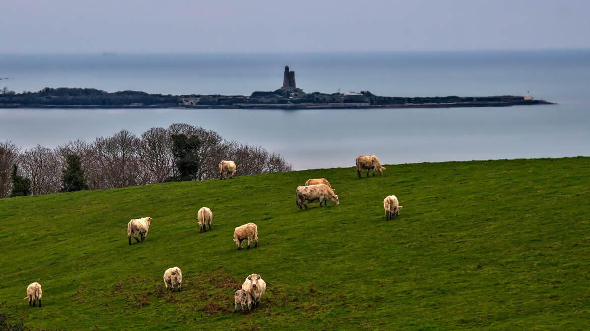 Veaux, vaches, Vauban