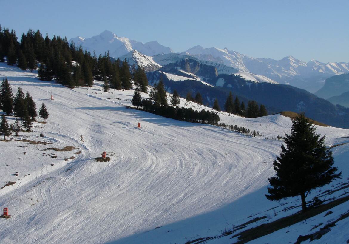 Le domaine déserté