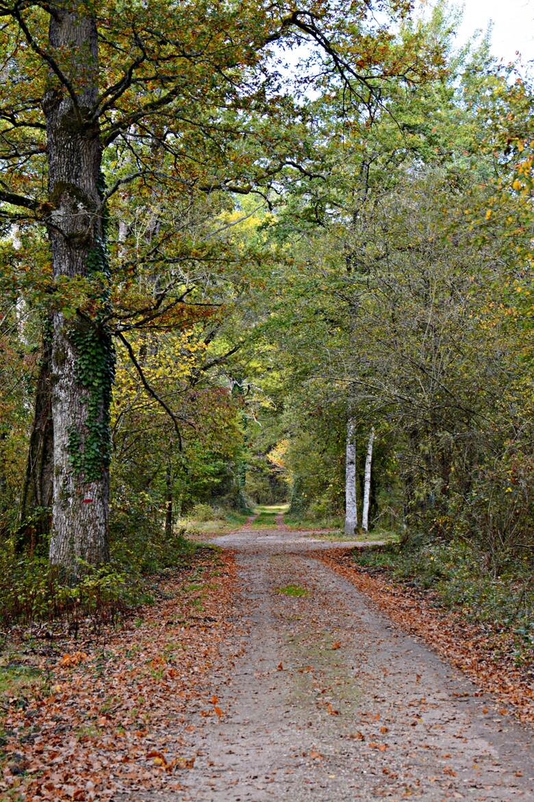 A la croisée des chemins