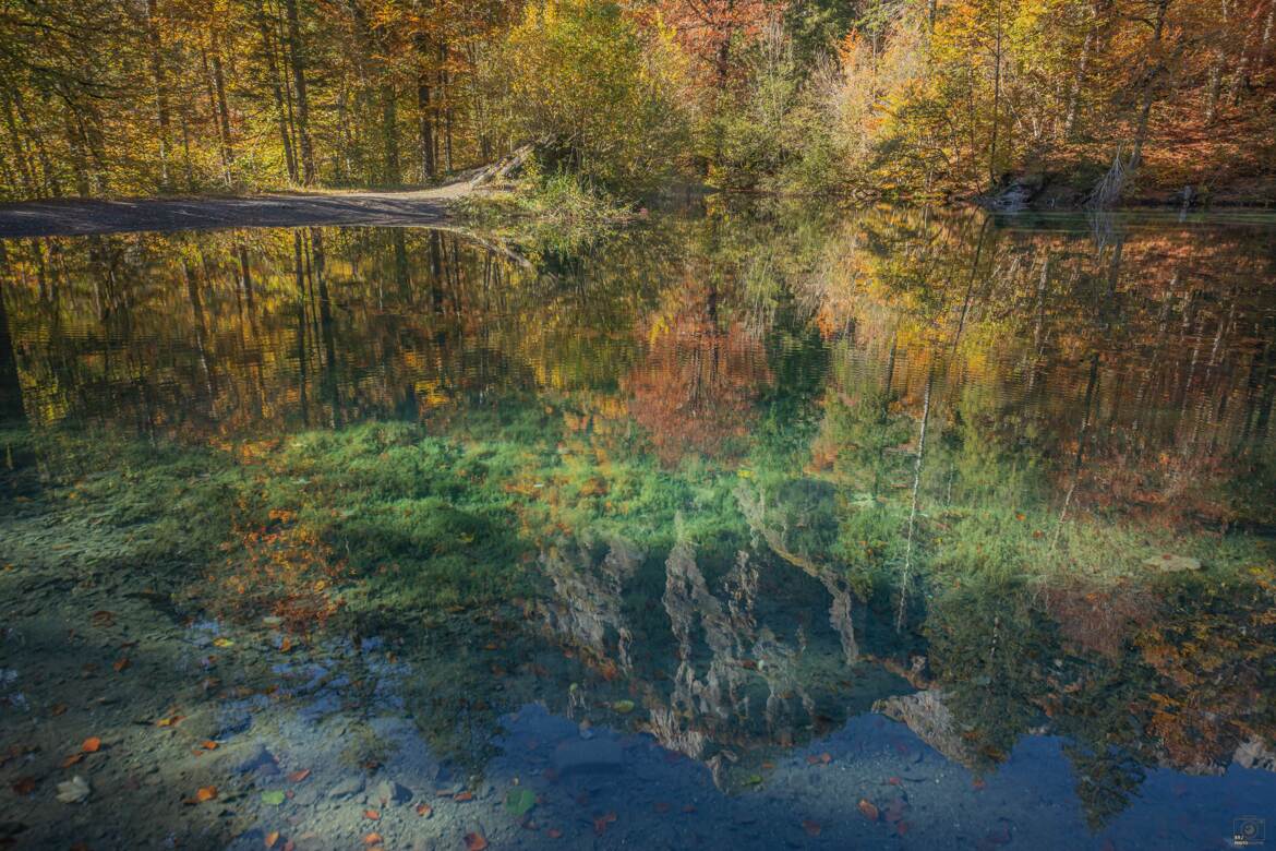 Reflet d Automne