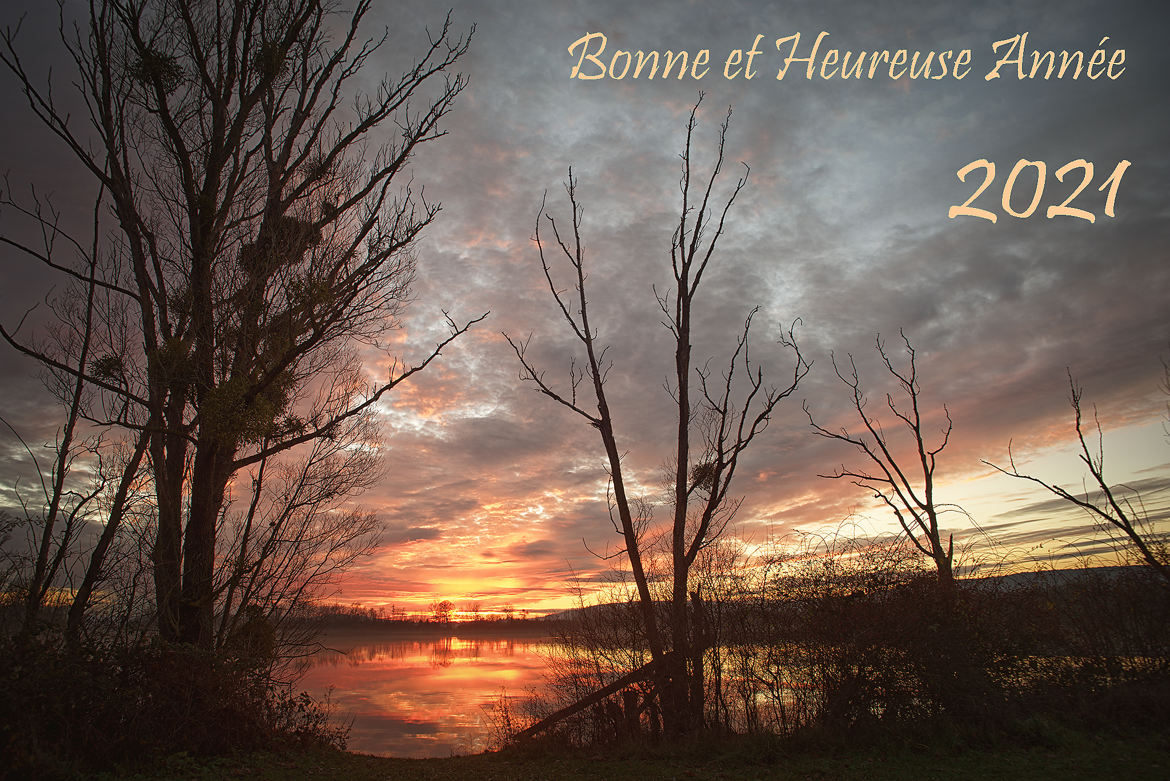 Bonneannée2021