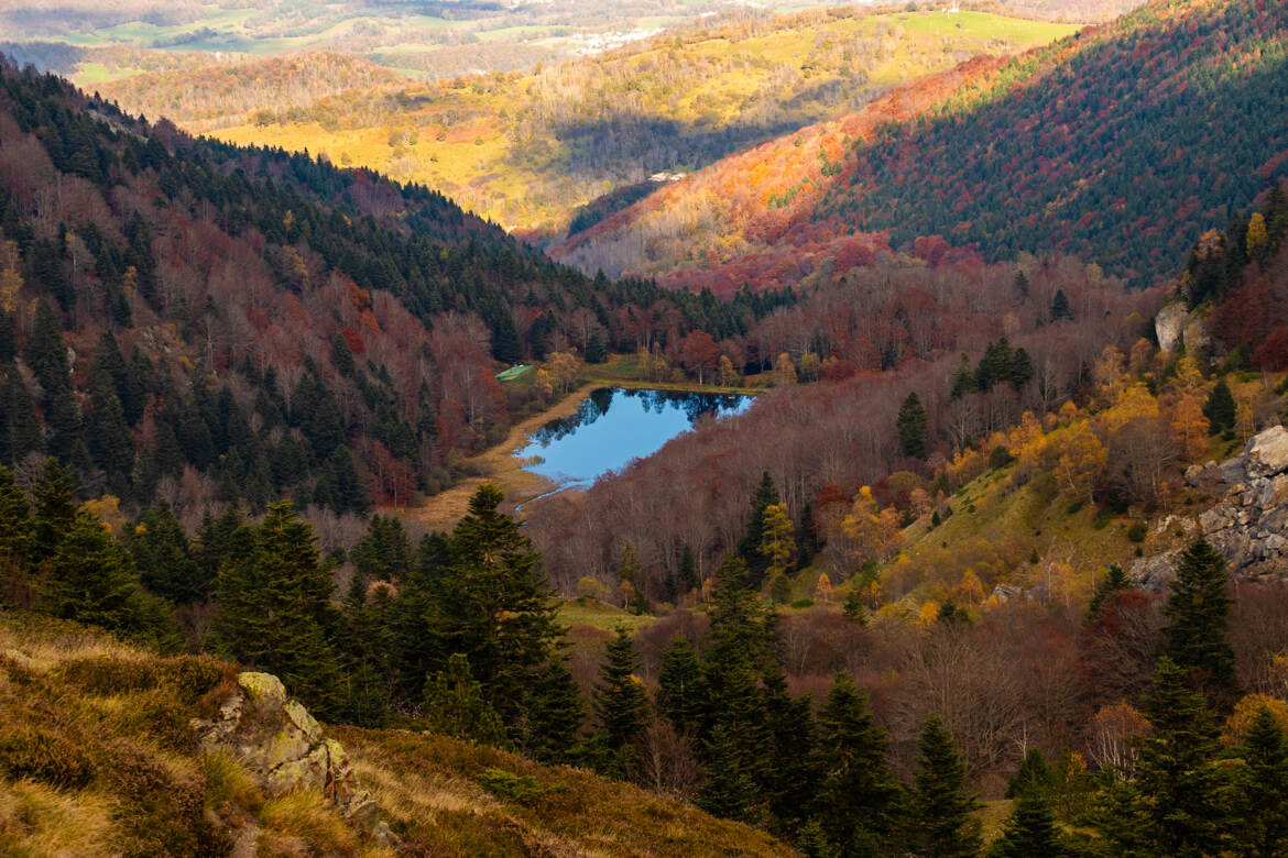 Etang de Moulzoune