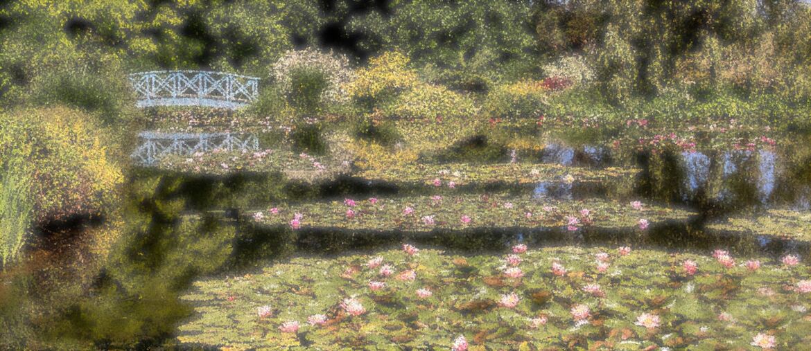 Clin d'oeil à Monet !