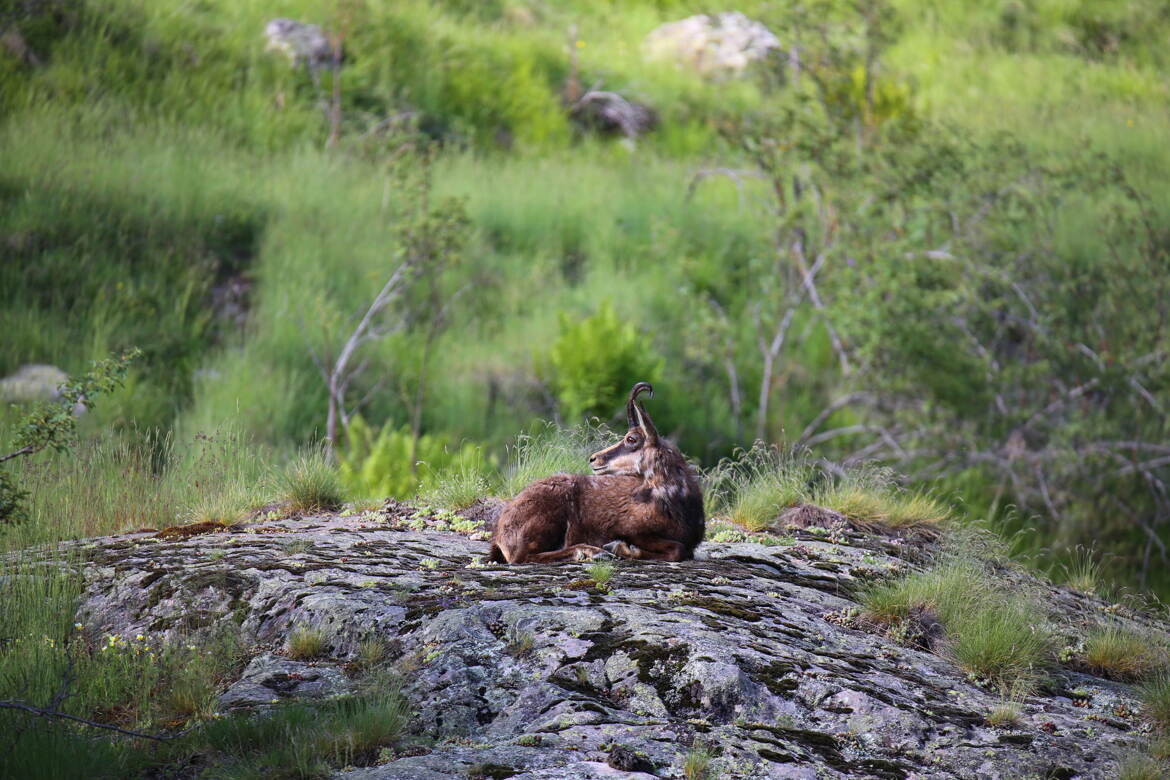 Plein de sérénité et au repos.