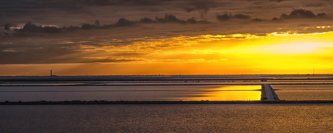 Salins de Giraud au couchant