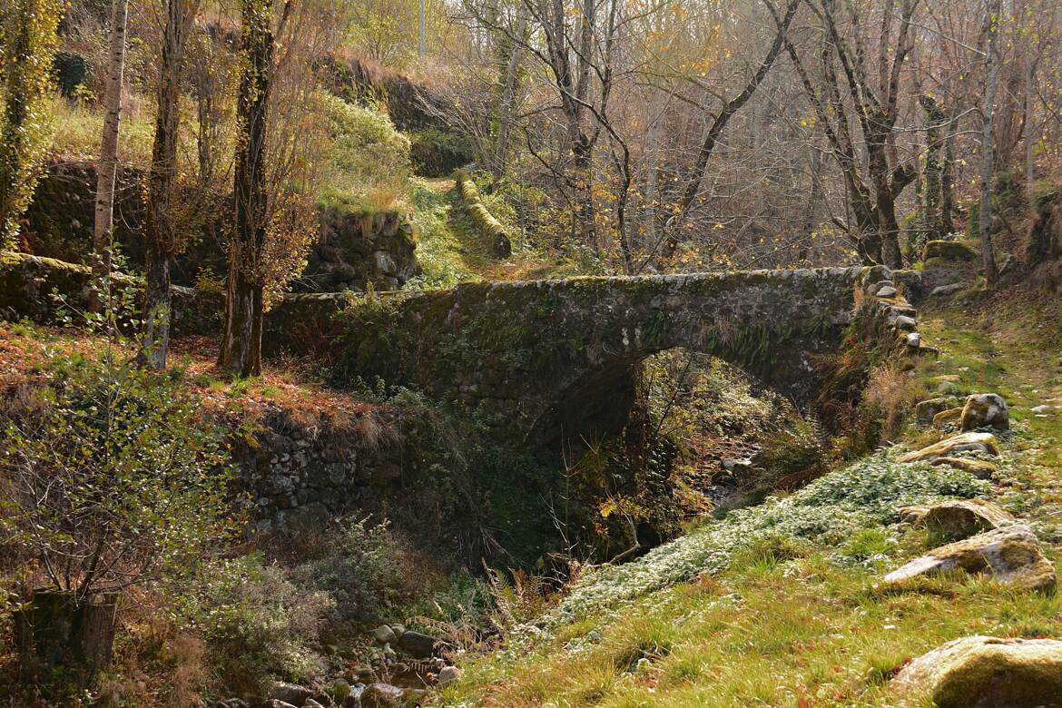 Petit pont de pierre