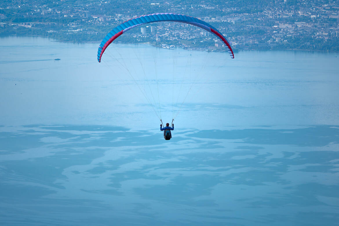 Fais comme l'oiseau ...