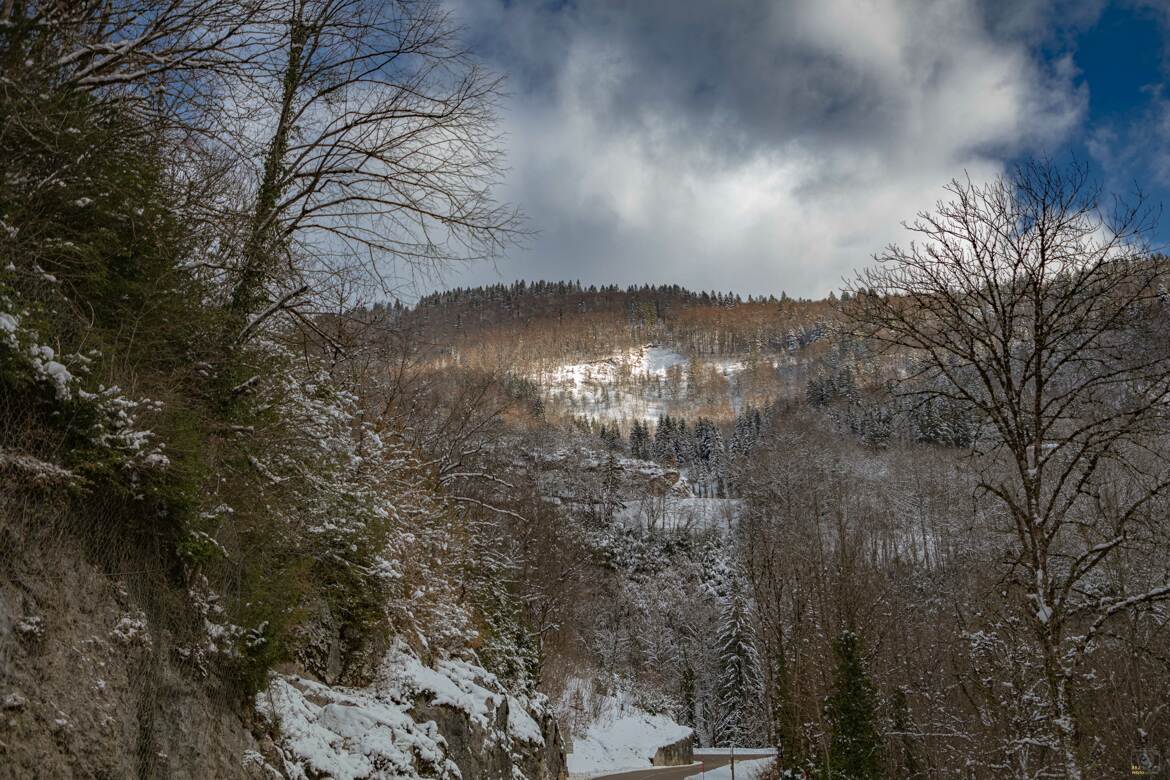 Le Jura en hiver