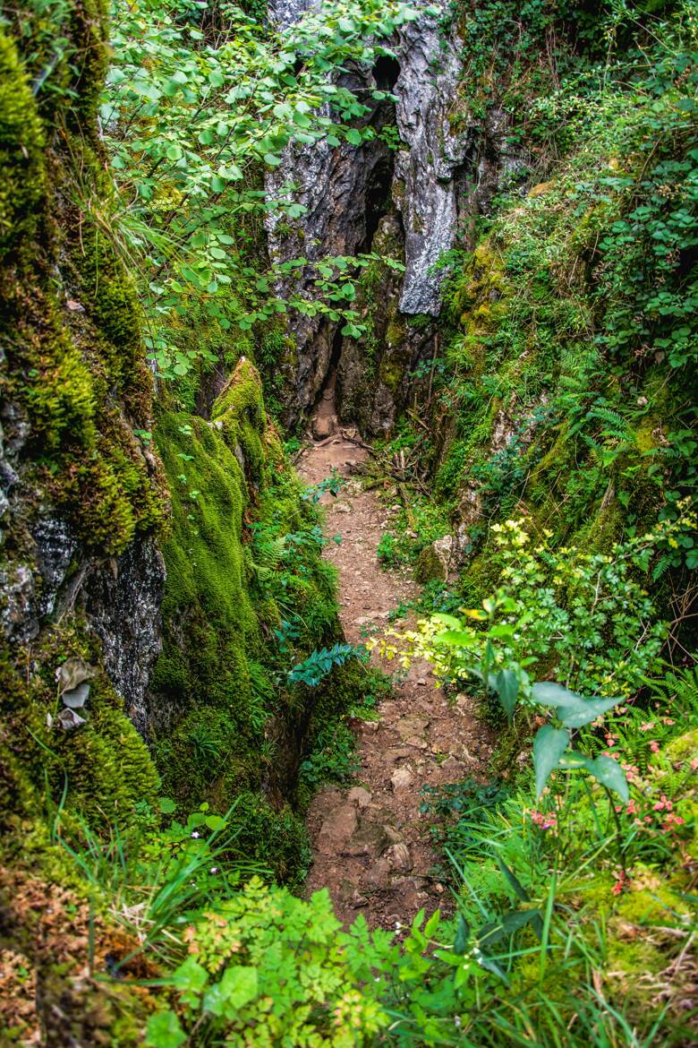 Plongée au Fondry des Chiens.