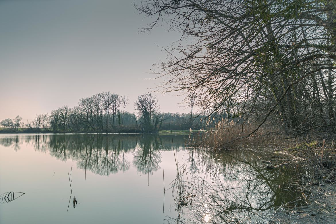 Au bord de l étang