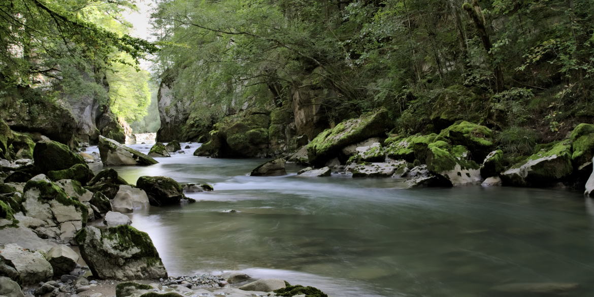 Dans le gorges