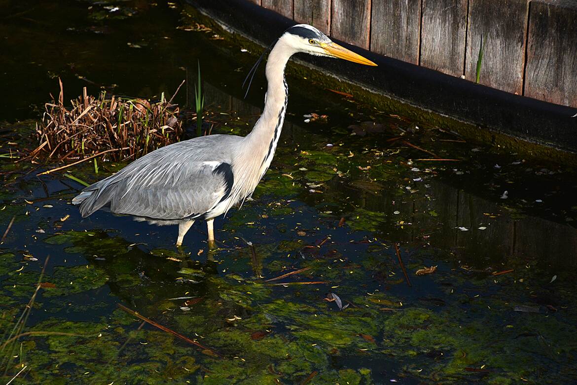 Voyons voir par là...