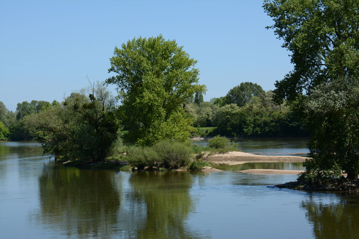 Loire basse