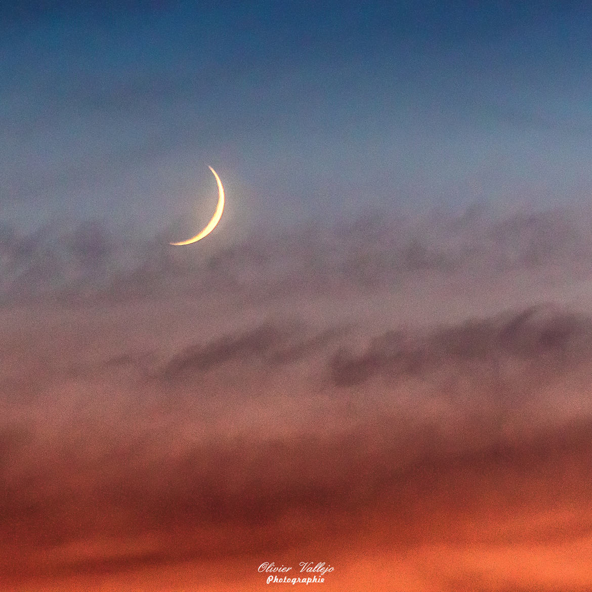 Croissant de Lune au coucher du Soleil